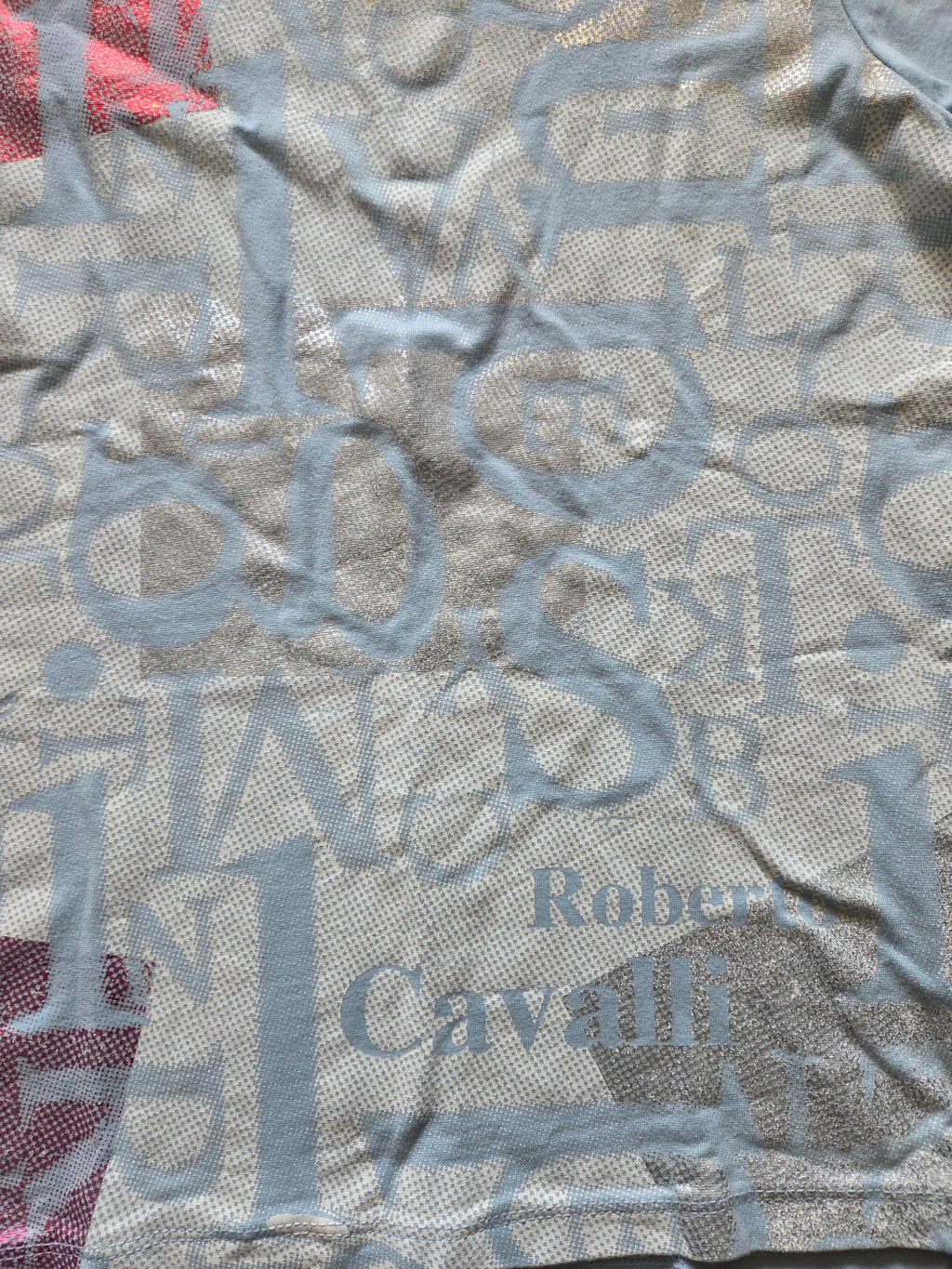 Top ROBERTO CAVALLI y2k