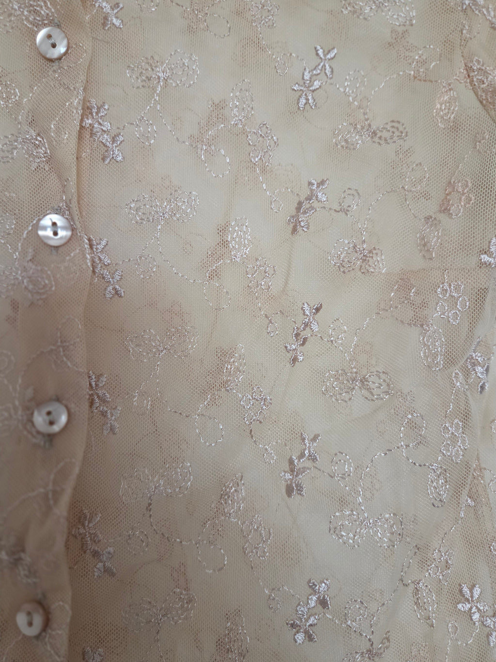Chemise transparente