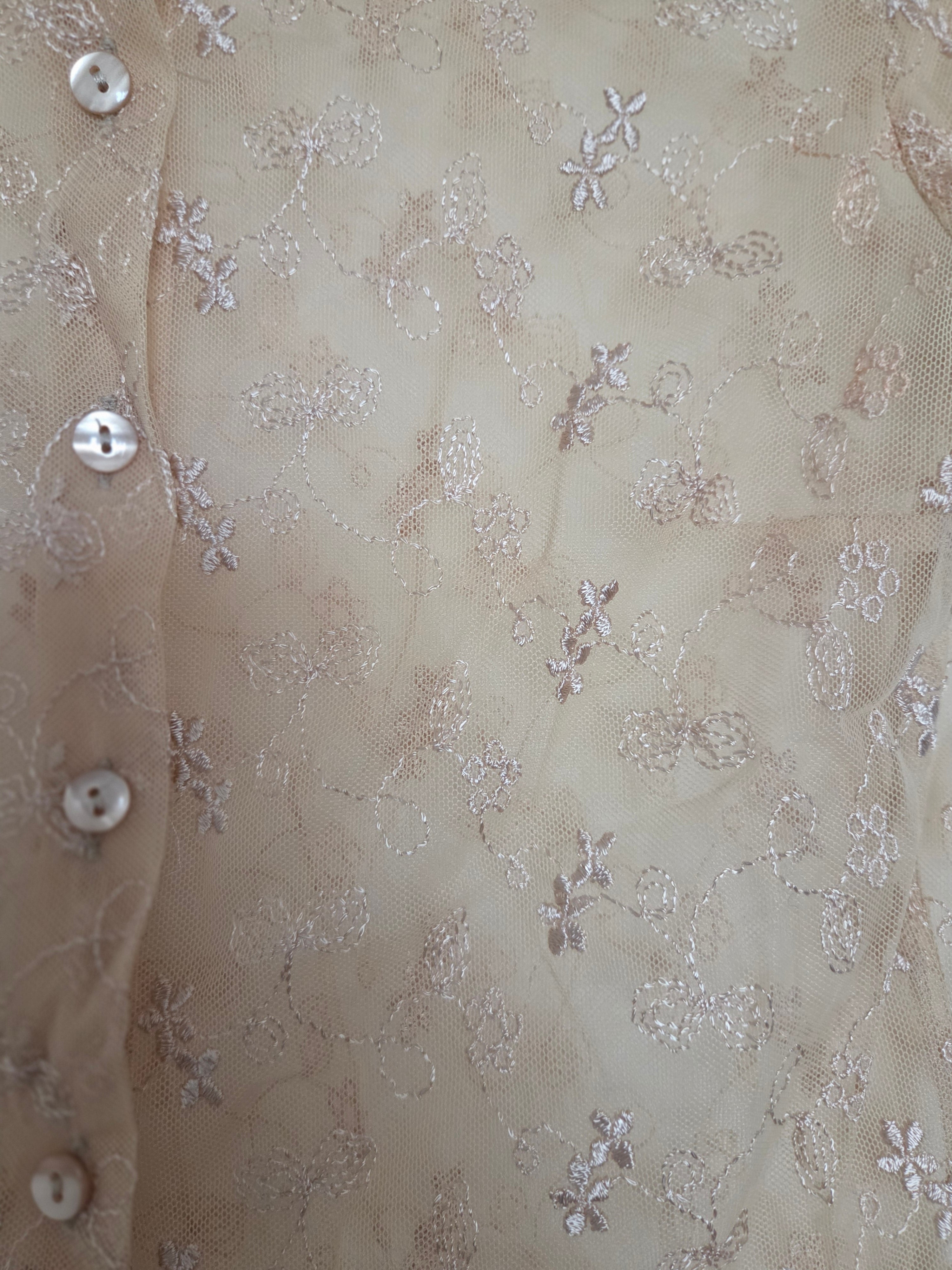 Chemise transparente